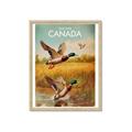 Picture of Canadian Mallard  _GroupedProduct_Rectangle_Portrait_Framed_Matted_