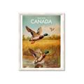 Picture of Canadian Mallard  _GroupedProduct_Rectangle_Portrait_Framed_Matted_