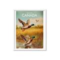 Picture of Canadian Mallard  _GroupedProduct_Rectangle_Portrait_Framed_Matted_