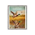 Picture of Canadian Mallard  _GroupedProduct_Rectangle_Portrait_Framed_Matted_