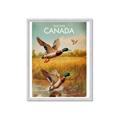 Picture of Canadian Mallard  _GroupedProduct_Rectangle_Portrait_Framed_Matted_