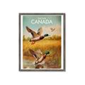 Picture of Canadian Mallard  _GroupedProduct_Rectangle_Portrait_Framed_Matted_