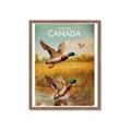 Picture of Canadian Mallard  _GroupedProduct_Rectangle_Portrait_Framed_Matted_