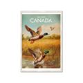 Picture of Canadian Mallard  _GroupedProduct_Rectangle_Portrait_Framed_Matted_