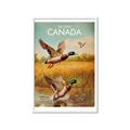 Picture of Canadian Mallard  _GroupedProduct_Rectangle_Portrait_Framed_Matted_