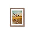 Picture of Canadian Mallard  _GroupedProduct_Rectangle_Portrait_Framed_Matted_