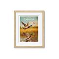 Picture of Canadian Mallard  _GroupedProduct_Rectangle_Portrait_Framed_Matted_