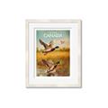 Picture of Canadian Mallard  _GroupedProduct_Rectangle_Portrait_Framed_Matted_