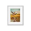 Picture of Canadian Mallard  _GroupedProduct_Rectangle_Portrait_Framed_Matted_