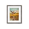 Picture of Canadian Mallard  _GroupedProduct_Rectangle_Portrait_Framed_Matted_
