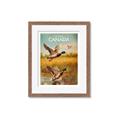 Picture of Canadian Mallard  _GroupedProduct_Rectangle_Portrait_Framed_Matted_