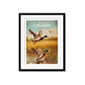 Picture of Canadian Mallard  _GroupedProduct_Rectangle_Portrait_Framed_Matted_