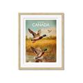 Picture of Canadian Mallard  _GroupedProduct_Rectangle_Portrait_Framed_Matted_