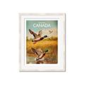 Picture of Canadian Mallard  _GroupedProduct_Rectangle_Portrait_Framed_Matted_