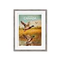 Picture of Canadian Mallard  _GroupedProduct_Rectangle_Portrait_Framed_Matted_
