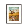 Picture of Canadian Mallard  _GroupedProduct_Rectangle_Portrait_Framed_Matted_