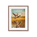 Picture of Canadian Mallard  _GroupedProduct_Rectangle_Portrait_Framed_Matted_