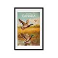 Picture of Canadian Mallard  _GroupedProduct_Rectangle_Portrait_Framed_Matted_