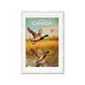 Picture of Canadian Mallard  _GroupedProduct_Rectangle_Portrait_Framed_Matted_
