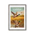 Picture of Canadian Mallard  _GroupedProduct_Rectangle_Portrait_Framed_Matted_