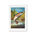 Picture of Canadian Seabass _GroupedProduct_Rectangle_Portrait_Framed_Matted_