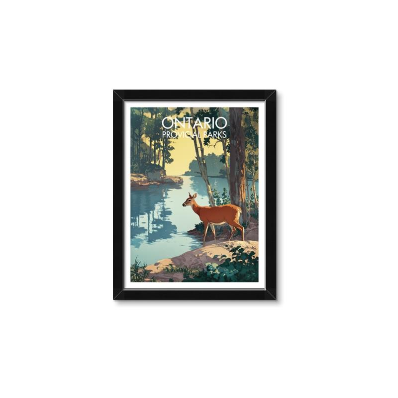 Picture of Reflections of the Wild _GroupedProduct_Rectangle_Portrait_Framed_Matted_