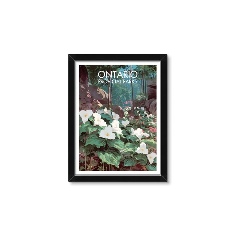 Picture of White Trillium _GroupedProduct_Rectangle_Portrait_Framed_Matted_
