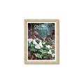 Picture of White Trillium _GroupedProduct_Rectangle_Portrait_Framed_Matted_