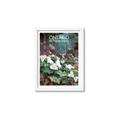 Picture of White Trillium _GroupedProduct_Rectangle_Portrait_Framed_Matted_