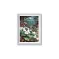Picture of White Trillium _GroupedProduct_Rectangle_Portrait_Framed_Matted_