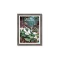 Picture of White Trillium _GroupedProduct_Rectangle_Portrait_Framed_Matted_