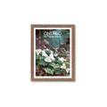 Picture of White Trillium _GroupedProduct_Rectangle_Portrait_Framed_Matted_