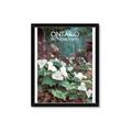 Picture of White Trillium _GroupedProduct_Rectangle_Portrait_Framed_Matted_