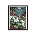 Picture of White Trillium _GroupedProduct_Rectangle_Portrait_Framed_Matted_