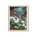 Picture of White Trillium _GroupedProduct_Rectangle_Portrait_Framed_Matted_