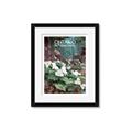 Picture of White Trillium _GroupedProduct_Rectangle_Portrait_Framed_Matted_
