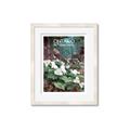 Picture of White Trillium _GroupedProduct_Rectangle_Portrait_Framed_Matted_