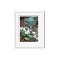 Picture of White Trillium _GroupedProduct_Rectangle_Portrait_Framed_Matted_