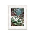 Picture of White Trillium _GroupedProduct_Rectangle_Portrait_Framed_Matted_
