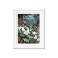 Picture of White Trillium _GroupedProduct_Rectangle_Portrait_Framed_Matted_
