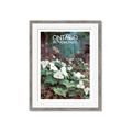 Picture of White Trillium _GroupedProduct_Rectangle_Portrait_Framed_Matted_
