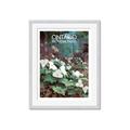 Picture of White Trillium _GroupedProduct_Rectangle_Portrait_Framed_Matted_