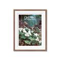 Picture of White Trillium _GroupedProduct_Rectangle_Portrait_Framed_Matted_
