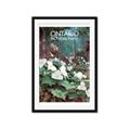 Picture of White Trillium _GroupedProduct_Rectangle_Portrait_Framed_Matted_