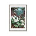 Picture of White Trillium _GroupedProduct_Rectangle_Portrait_Framed_Matted_