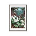 Picture of White Trillium _GroupedProduct_Rectangle_Portrait_Framed_Matted_