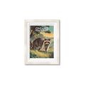 Picture of Meadow Mischief _GroupedProduct_Rectangle_Portrait_Framed_Matted_
