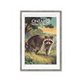 Picture of Meadow Mischief _GroupedProduct_Rectangle_Portrait_Framed_Matted_