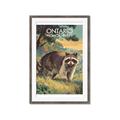 Picture of Meadow Mischief _GroupedProduct_Rectangle_Portrait_Framed_Matted_