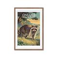 Picture of Meadow Mischief _GroupedProduct_Rectangle_Portrait_Framed_Matted_
